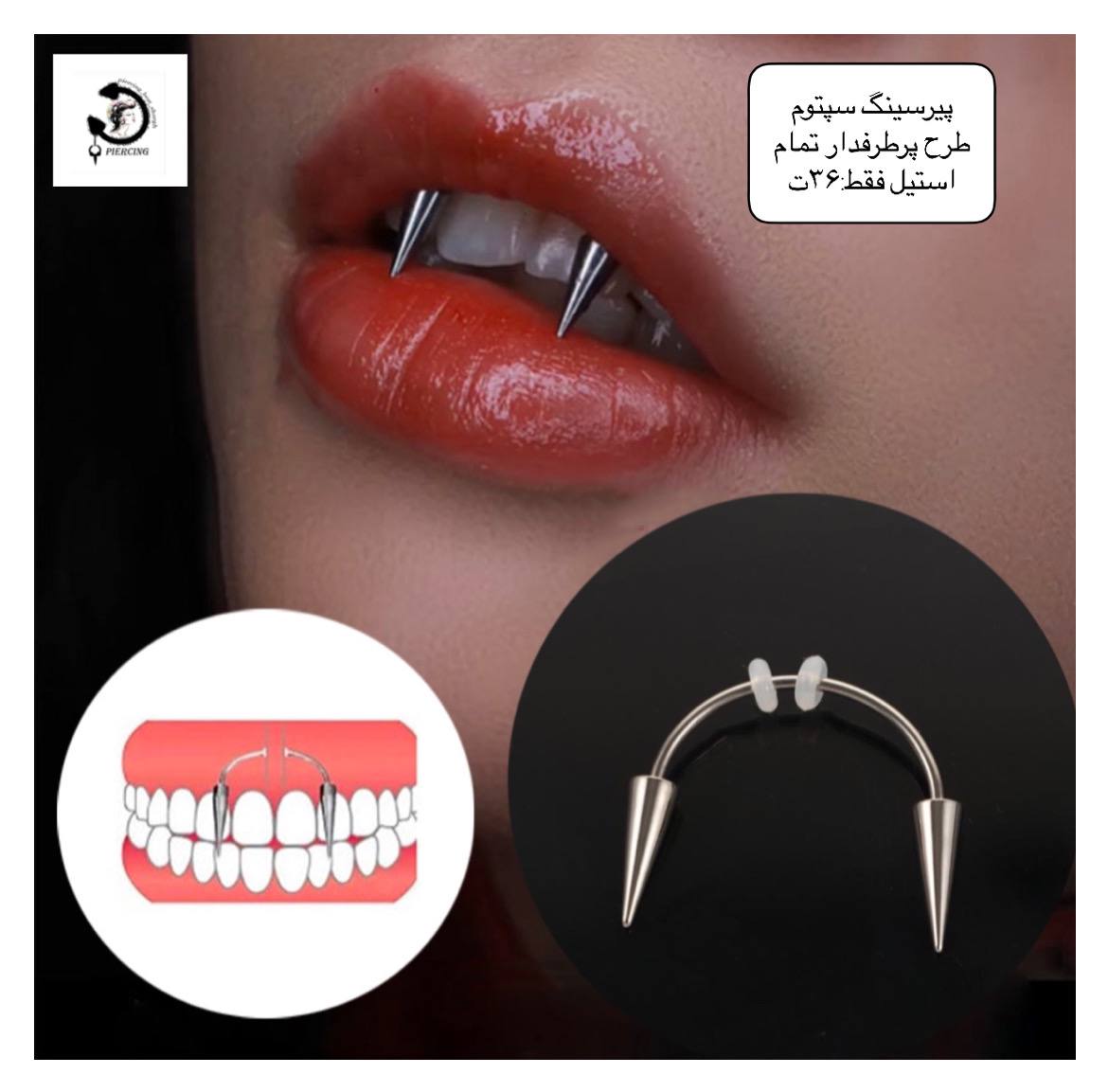 IMG_20241021_010017_667